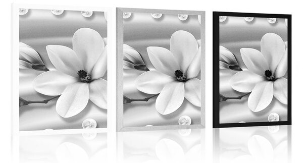 Plakát luxusní magnolie s perlami v černobílém provedení