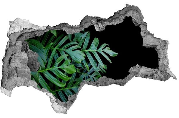 Samolepící nálepka fototapeta Monstera nd-b-136056099