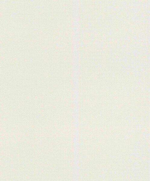RASCH | Vliesová tapeta na zeď Deco Style 312324 | 0,53 x 10,05 m | bílá