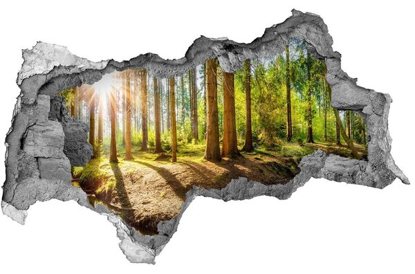 Díra 3D ve zdi na stěnu Panorama les nd-b-145813283