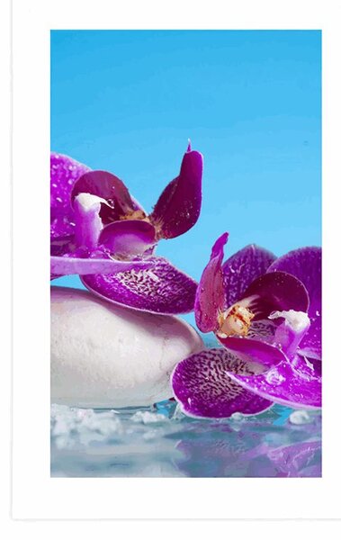 Plakát s paspartou wellness zátiší
