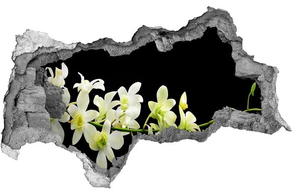 Samolepící nálepka fototapeta Orchidej nd-b-4005190