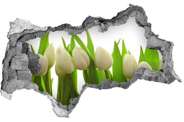 Samolepící nálepka na zeď Bílé tulipány nd-b-40774671