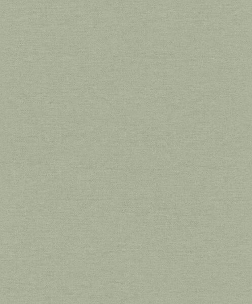 RASCH | Vliesová tapeta na zeď Schöner Wohnen 600285 | 0,53 x 10,05 m | zelená