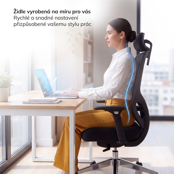 Ergonomická kancelářská židle se síťovinou černá AXIS