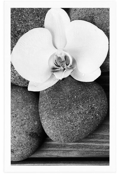 Plakát wellness kameny a orchidej na dřevěném pozadí v černobílém provedení