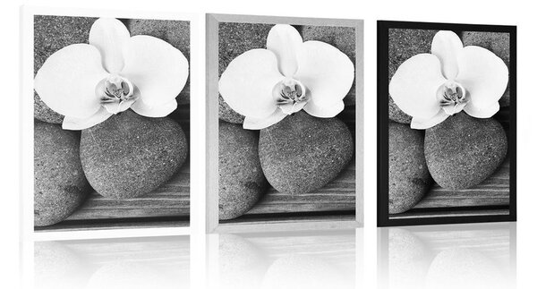 Plakát wellness kameny a orchidej na dřevěném pozadí v černobílém provedení