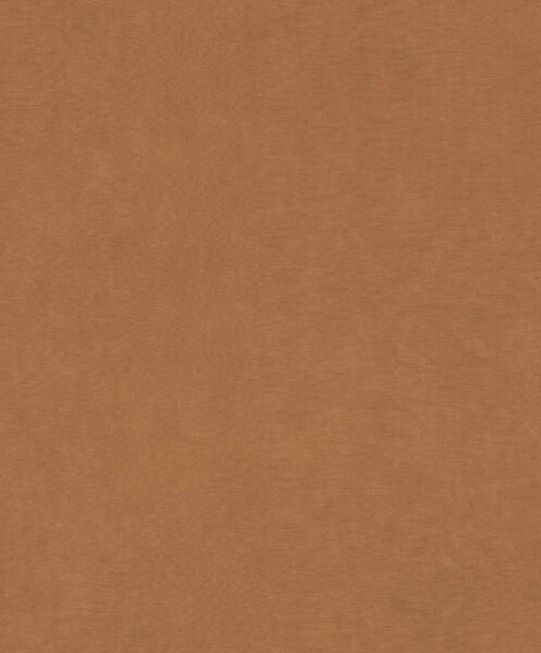 RASCH | Vliesová tapeta na zeď Paraíso 330144 | 0,53 x 10,05 m | hnědá