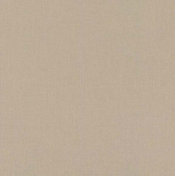 RASCH | Vliesová tapeta na zeď Allegretto 423921 | 0,53 x 10,05 m | béžová