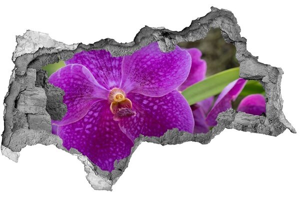 Samolepící díra nálepka Orchidej nd-b-64607986