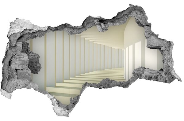 Fototapeta díra na zeď 3D nálepka Chodba nd-b-65321842