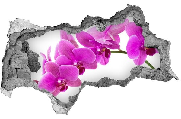 Samolepící díra nálepka Růžová orchidej nd-b-67691978