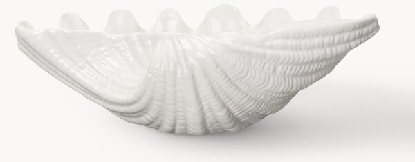 Servírovací mísa ve tvaru mušle z dolomitu Shell
