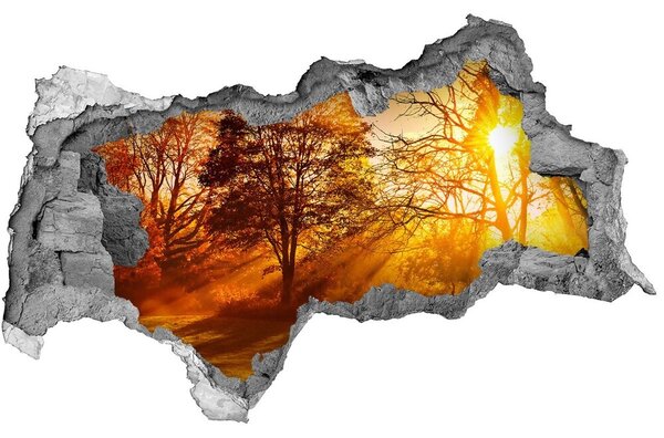 Nálepka fototapeta 3D výhled Západ slunce nd-b-68720414