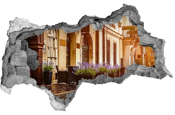 Fototapeta díra na zeď 3D Krakov Polsko nd-b-71699310