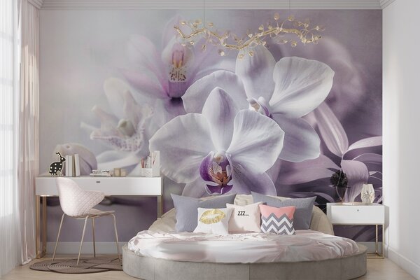 Fototapety Bílé a lila jemné květy orchidejí, měkké osvětlení a rozmazané texturované pozadí , Fototapety květiny, w09155 : uwalls.cz