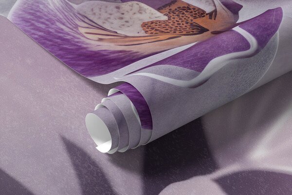 Fototapety Bílé a lila jemné květy orchidejí, měkké osvětlení a rozmazané texturované pozadí , Fototapety květiny, w09155 : uwalls.cz