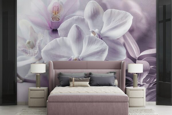 Fototapety Bílé a lila jemné květy orchidejí, měkké osvětlení a rozmazané texturované pozadí , Fototapety květiny, w09155 : uwalls.cz