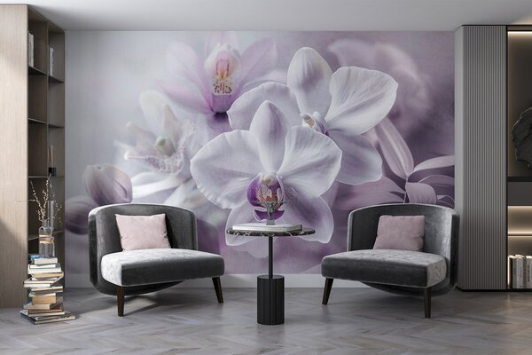Fototapety Bílé a lila jemné květy orchidejí, měkké osvětlení a rozmazané texturované pozadí , Fototapety květiny, w09155 : uwalls.cz