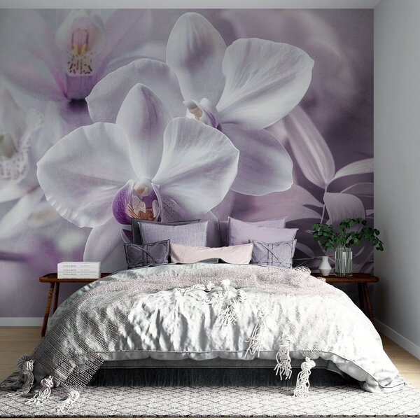 Fototapety Bílé a lila jemné květy orchidejí, měkké osvětlení a rozmazané texturované pozadí , Fototapety květiny, w09155 : uwalls.cz