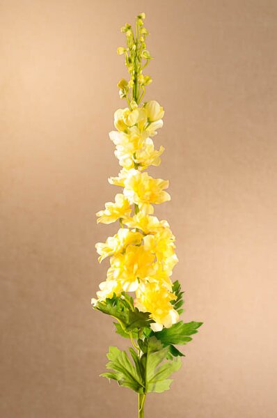 Paramit DELPHINIUM Aranžovací květina 79 cm žlutá