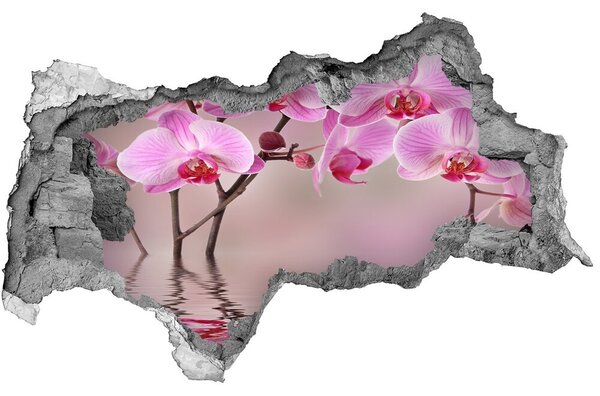 Samolepící díra na stěnu Růžová orchidej nd-b-79883275