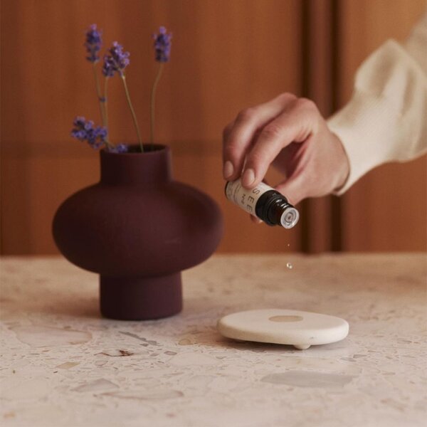 SEES Difuzér Aroma stone + levandulový olej SEES