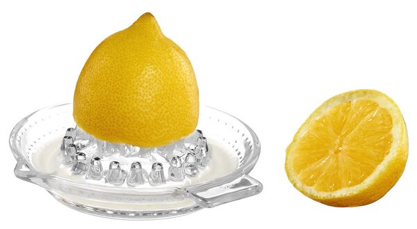 SQUEEZE Lis na citrusy