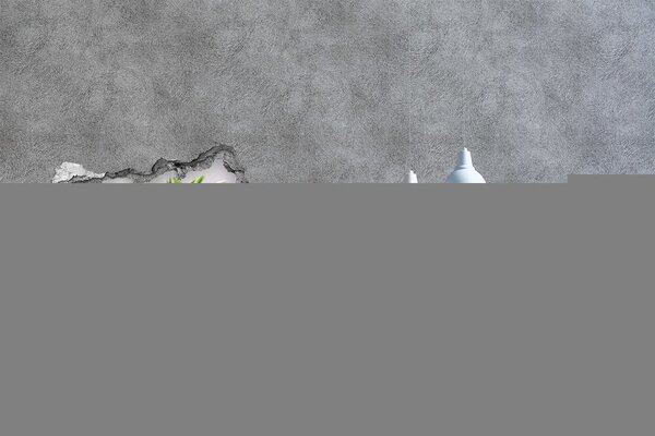Fototapeta díra na zeď Bílé květiny spa nd-b-89406381