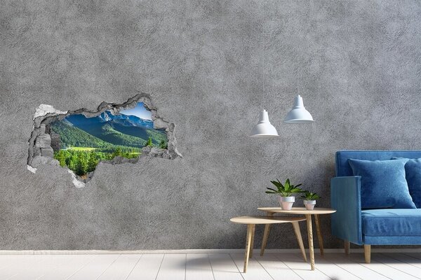 Nálepka fototapeta 3D Skokanský můstek Tatry nd-b-91165777