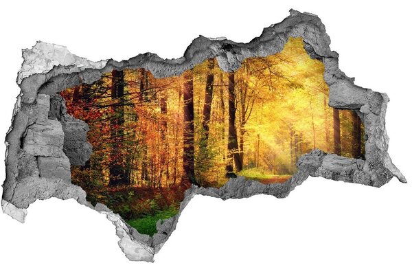 Nálepka fototapeta 3D výhled Podzim les nd-b-91078750