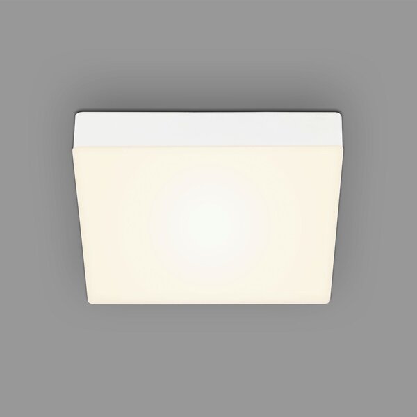 STROPNÍ LED SVÍTIDLO, 21.2/21.2/3.6 cm - Stropní svítidla