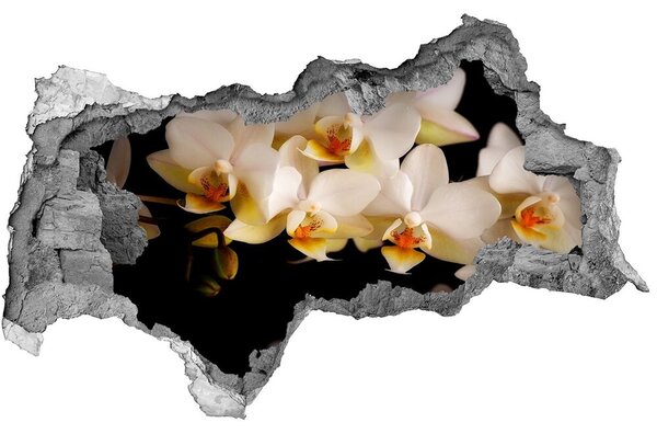Nálepka fototapeta 3D výhled Orchidej nd-b-95410450