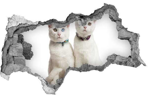 Nálepka fototapeta 3D na zeď Bílé kočky nd-b-97350767