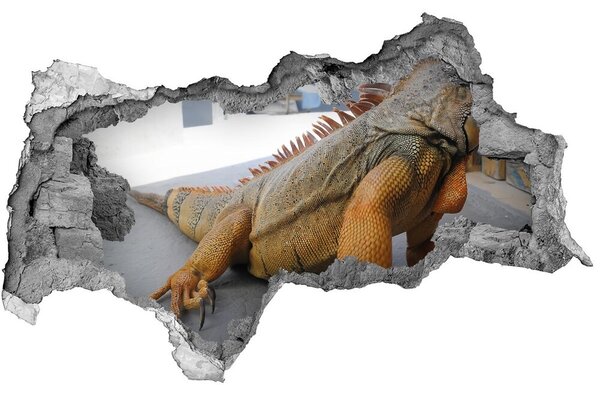 Fototapeta díra na zeď Leguán nd-b-97700993