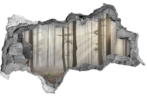 Nálepka 3D díra samolepící Mlha v lese nd-b-98968412
