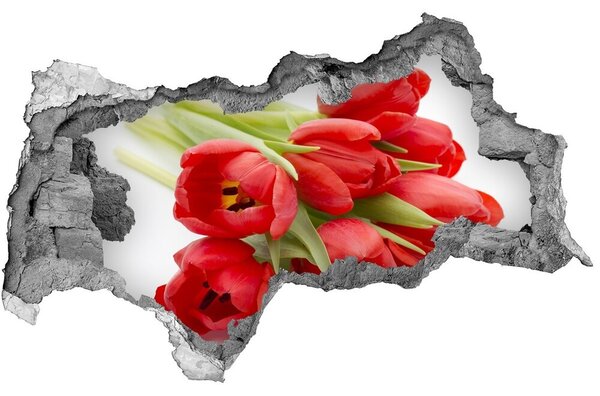 Samolepící díra na stěnu Červené tulipány nd-b-99817079