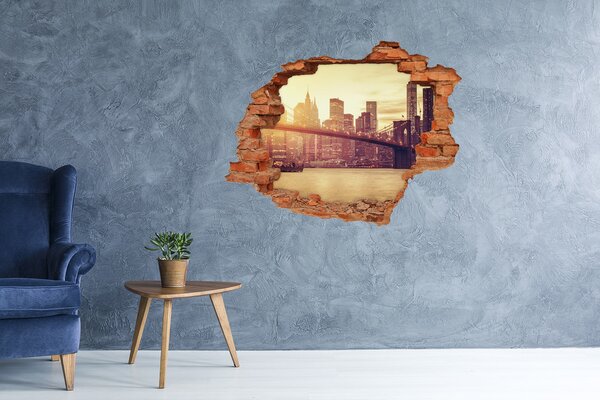 Fototapeta díra na zeď Manhattan New York nd-c-100207624