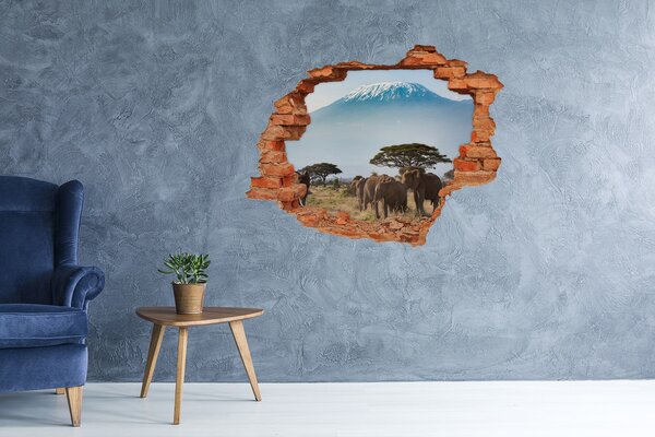 Díra 3D fototapeta Sloni Kilimandžáro nd-c-100418826