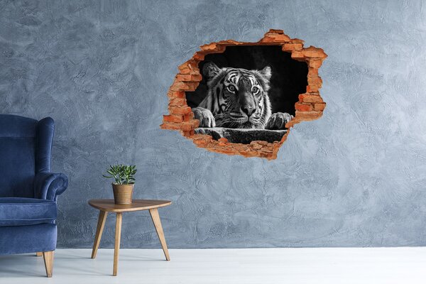 Díra 3D fototapeta nálepka Tygr nd-c-101258480