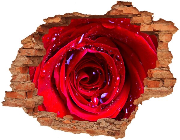 Samolepící nálepka na zeď Květ růží nd-c-100979783