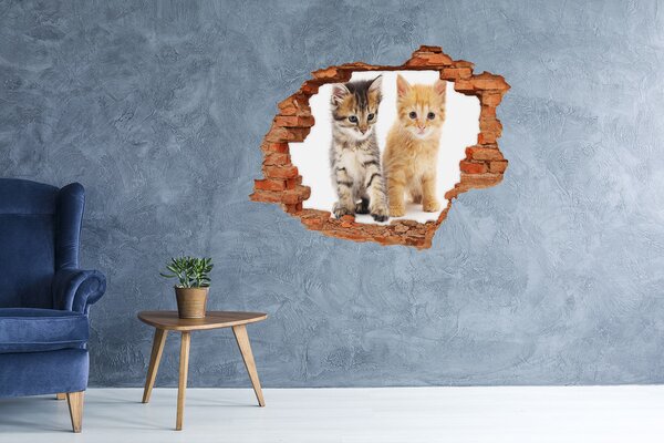 Díra 3D fototapeta na stěnu Hnědá a červená kočka nd-c-101681955