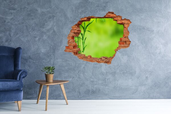 Samolepící nálepka na zeď Bambus nd-c-101574587