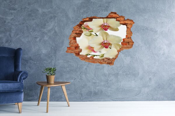 Fototapeta nálepka na zeď Orchidej nd-c-102443917