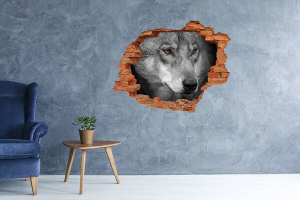 Díra 3D fototapeta na stěnu nálepka Vlk nd-c-103311727