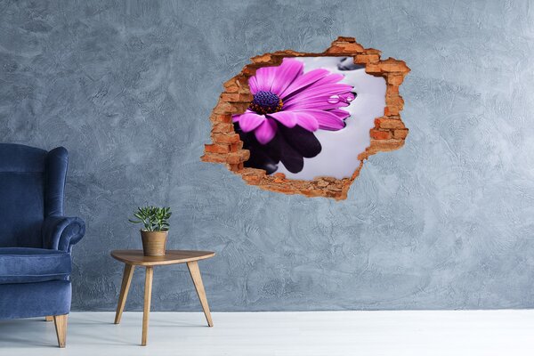 Samolepící nálepka fototapeta Gerbera nd-c-104053300