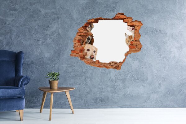 Díra 3D fototapeta na stěnu Psi a kočky nd-c-104206550