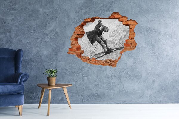 Fototapeta díra na zeď Lyžař nd-c-104441749