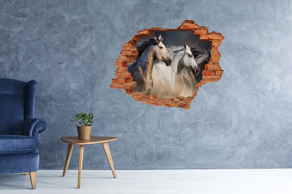 Díra 3D fototapeta nálepka Koně ve cvalu nd-c-106659074