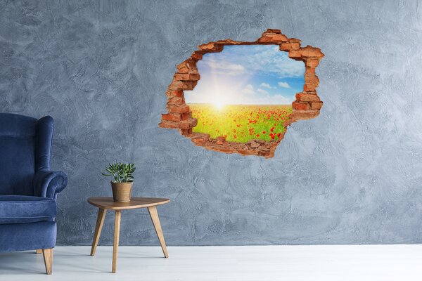 Díra 3D ve zdi nálepka Pole máků nd-c-107946485